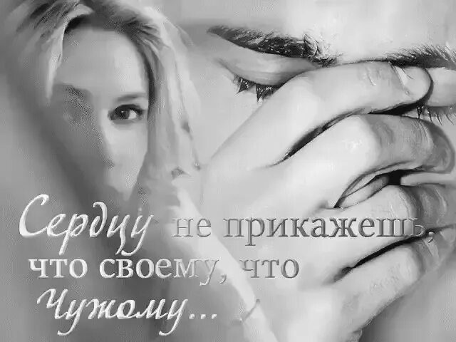 А сердцу не прикажешь. Сердцу не прикажешь цитаты. сердцу невозможно приказать. сердцу не прикажешь картинки. сердцу можно приказать.
