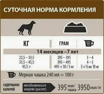 Сколько натурального корма давать собаке в день