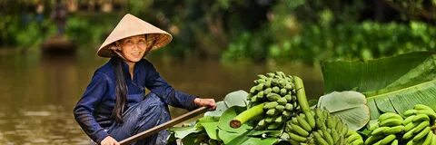 Vietnam good