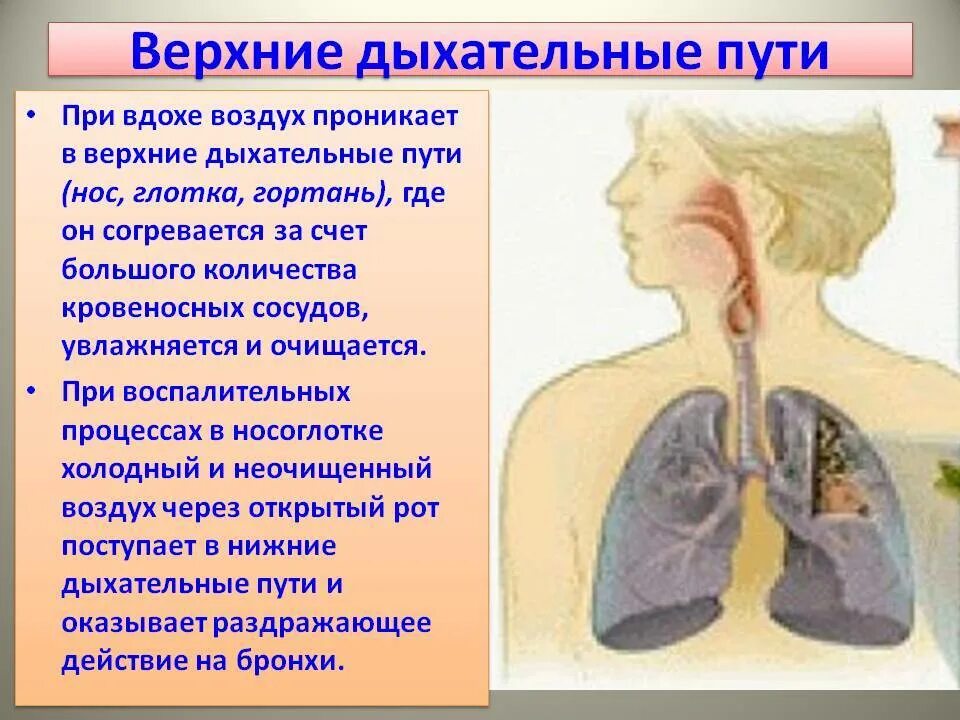 Утром появляется кашель. Заболевания дыхательных путей. Кашель и хрипы при дыхании. Заболевания верхних дыхательных путей. Заболевания дыхательных путей с мокротой.