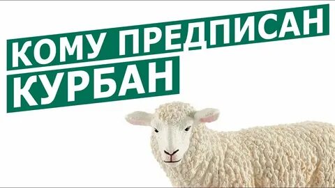 Курбан сторис