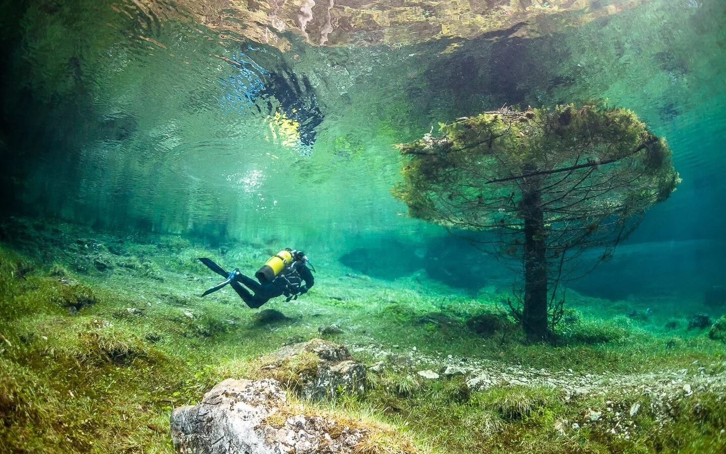 Речное дно. Озеро под водой. Австрия озеро парк грюнер. Грюнер зее — парк под озером в австрии. Зеленое озеро грюнер зее.