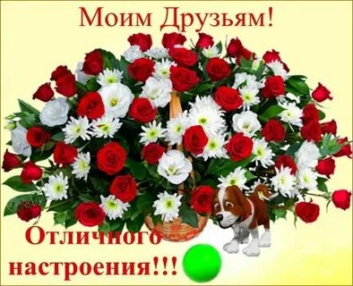 Букет другу