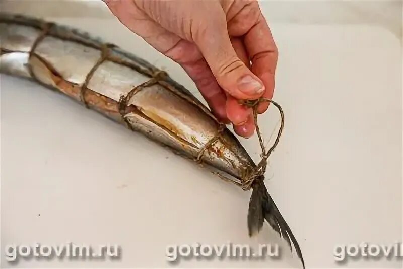 Как обвязать рыбу для копчения шпагатом. Рыба перевязанная шпагатом. обвязка рыбы для копчения шпагатом. подвязка рыбы для копчения. перевязка рыбы для горячего копчения.