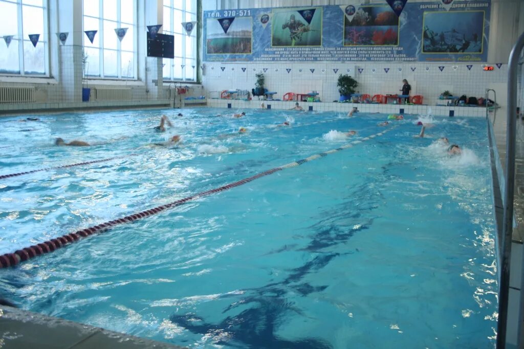 TopSwim, бассейн, Россия, Владимир, ул. Горького, 87 - Яндекс Карты