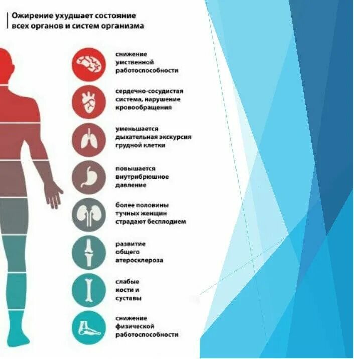 В организме способствует заболеваниям и. Лишний вес и заболевания. Влияние лишнего веса на организм. Влияние избыточного веса на организм.