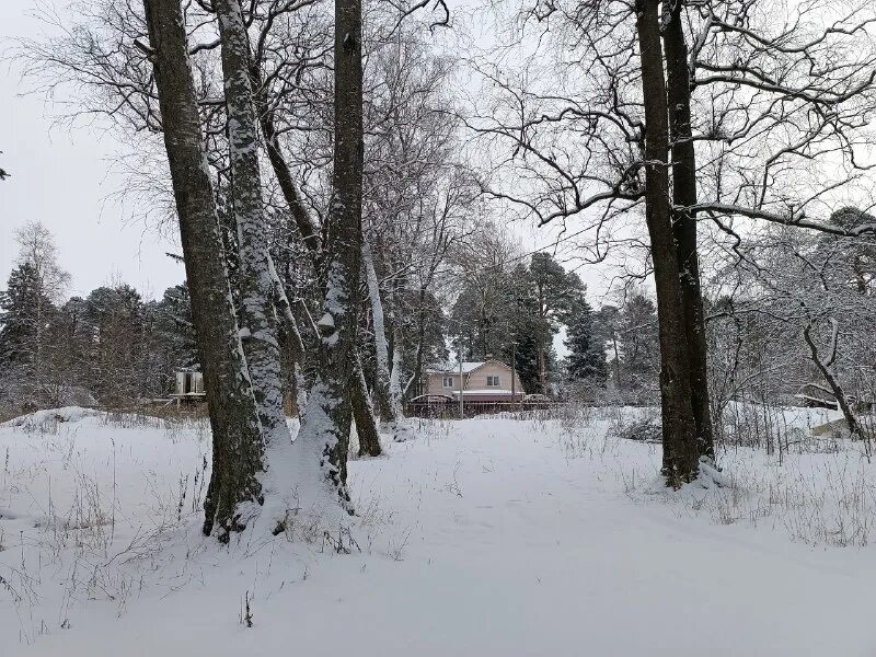 поселок высокоключевой гатчинского района. высокоключевой гатчинский. высокоключевой гатчинский район. погода высокоключевой гатчинского. погода высокоключевой гатчинского.