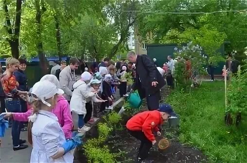 Аллеи детского сада