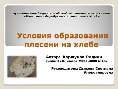 vsyo o gribakh
