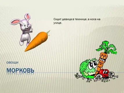 Загадка сижу на дереве кругла как шар