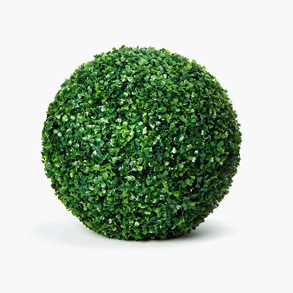 Самшит шар куст. Boxwood Ball. Круглый куст. Шар из травы. Globe plants