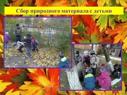 Сбор природного материала цель