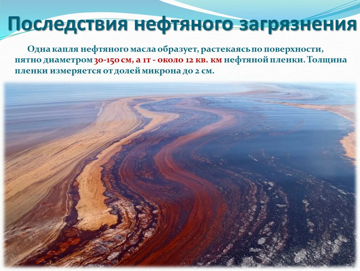 Загрязнение нефтью приводит к. Последствия нефтяного загрязнения. загрязнения нефтью классификация. экологические последствия нефтяного загрязнения. последствия загрязнения нефтью кратко.