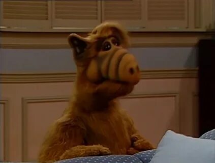 Alf quote season 2 episode 8 ты сосиска.