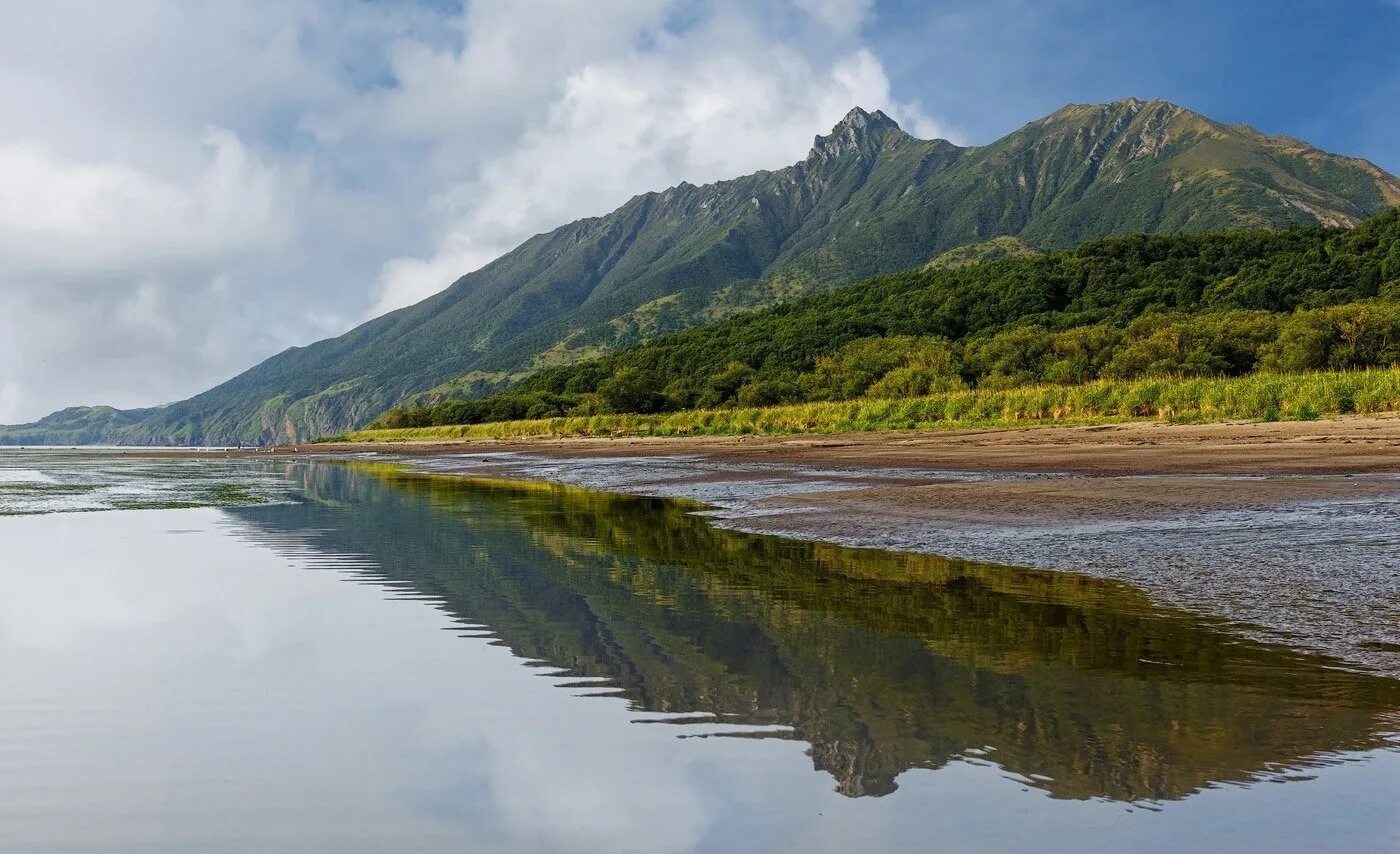 Вблизи края воды. Хабаровск река Амур берег. Река Амур Сахалин. Природа Сахалина сопки. Дальний Восток река Амур.