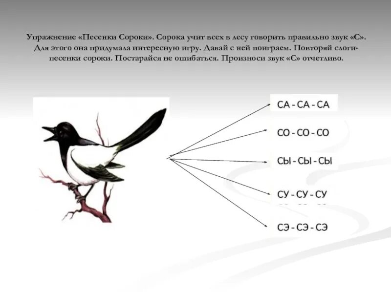 Упражнение сорока. Сорока звук. Песенка про сороку. Слоги сороки для автоматизации звука с.