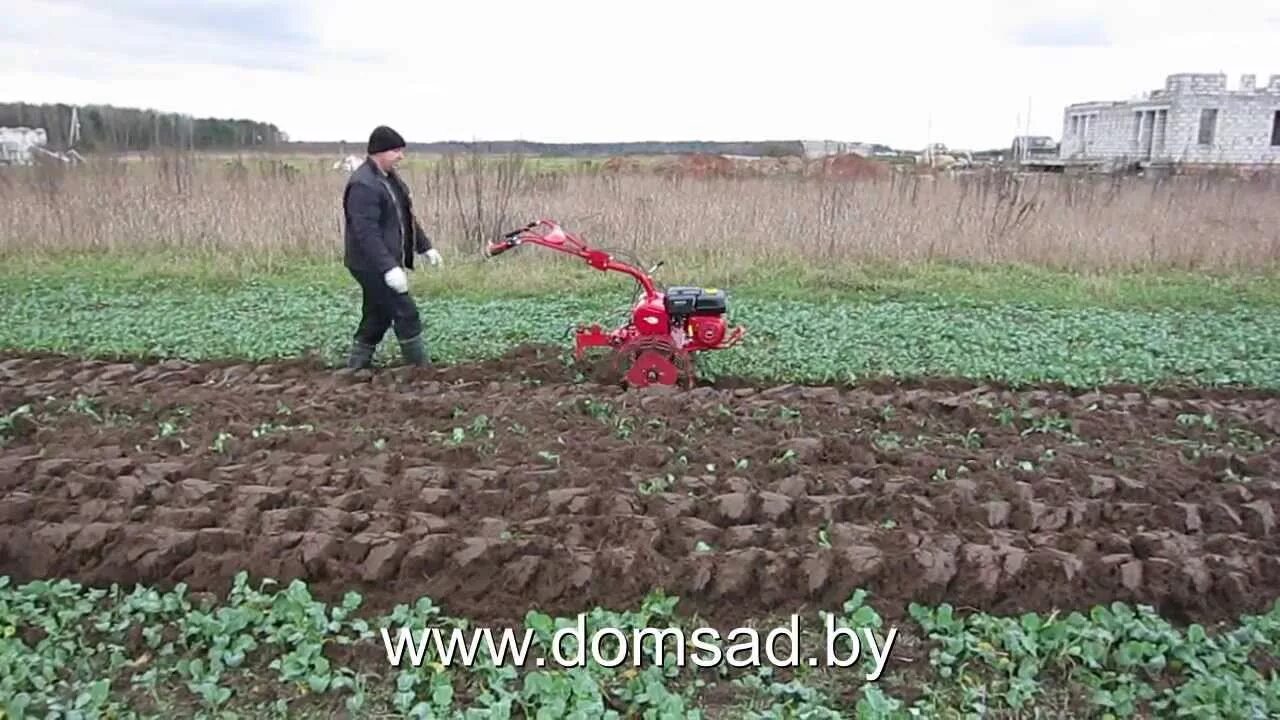 Мотоблока салют 100 вспашка плугом. Мотоблок агат вспашка плугом. Вспашка мотоблоком салют. Салют 100 пашет сам. Плуг салют