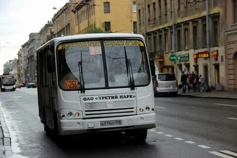 Когда будут последние белые автобусы в спб