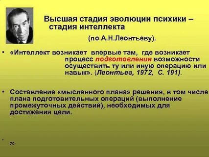 Эволюция психики этапы развития