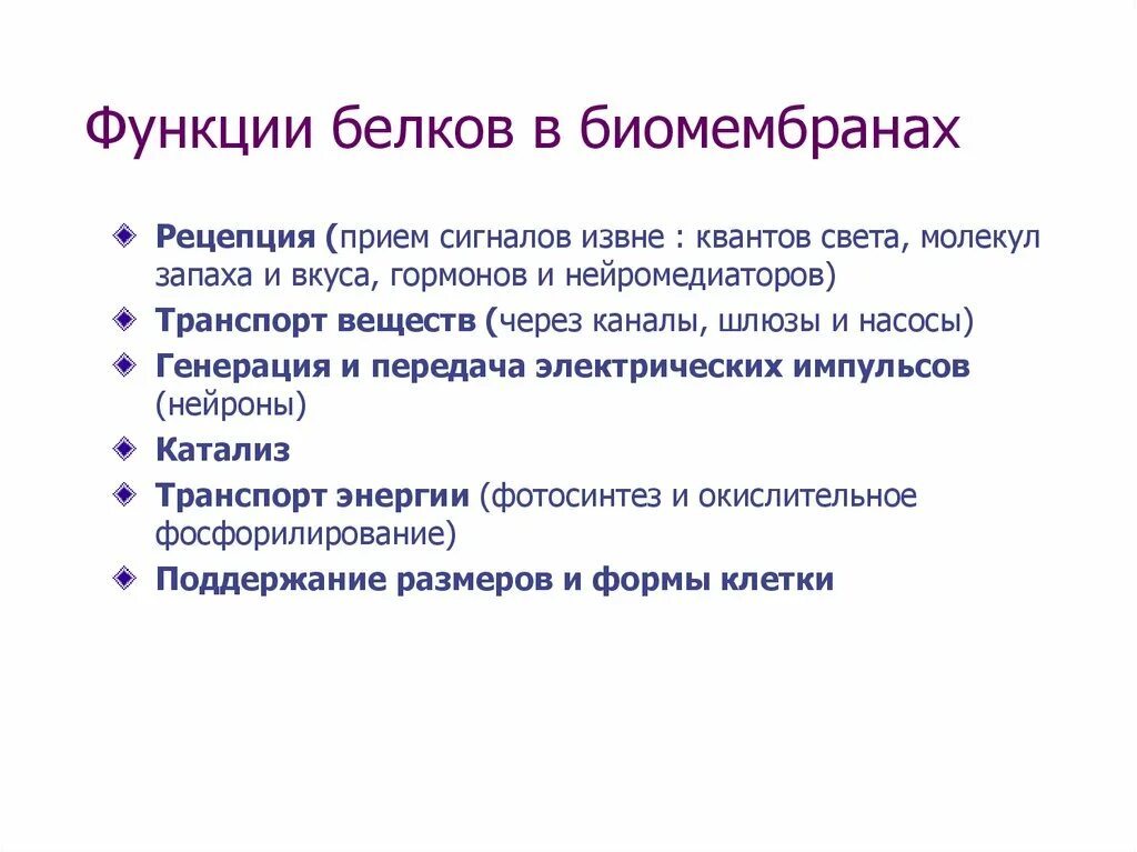 Фото подборка ВЫБЕРИТЕ ОСНОВНЫЕ ФУНКЦИИ БЕЛКОВ