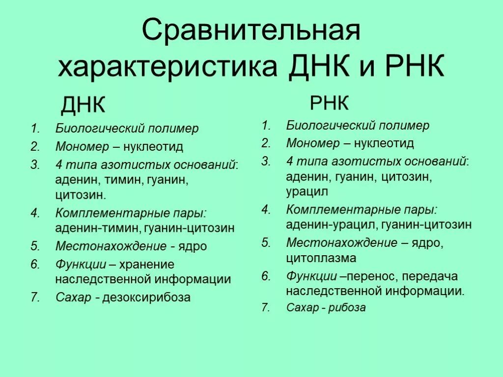 Составляющие днк и рнк. Днк общая характеристика кратко. сравнительная характеристика молекул днк и рнк. общая структура и свойства днк и рнк. характеристика днк кратко.