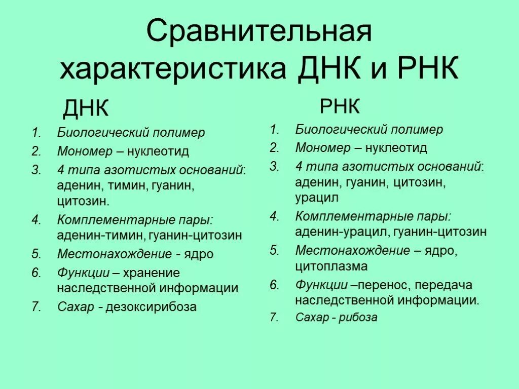 Соединения днк и рнк. ДНК общая характеристика кратко. Сравнительная характеристика молекул ДНК И РНК. Общая структура и свойства ДНК И РНК. Характеристика ДНК кратко.