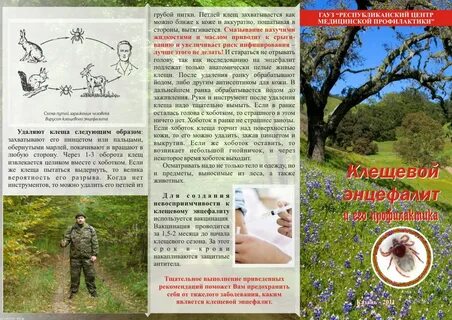 Профилактика клещевого энцефалита
