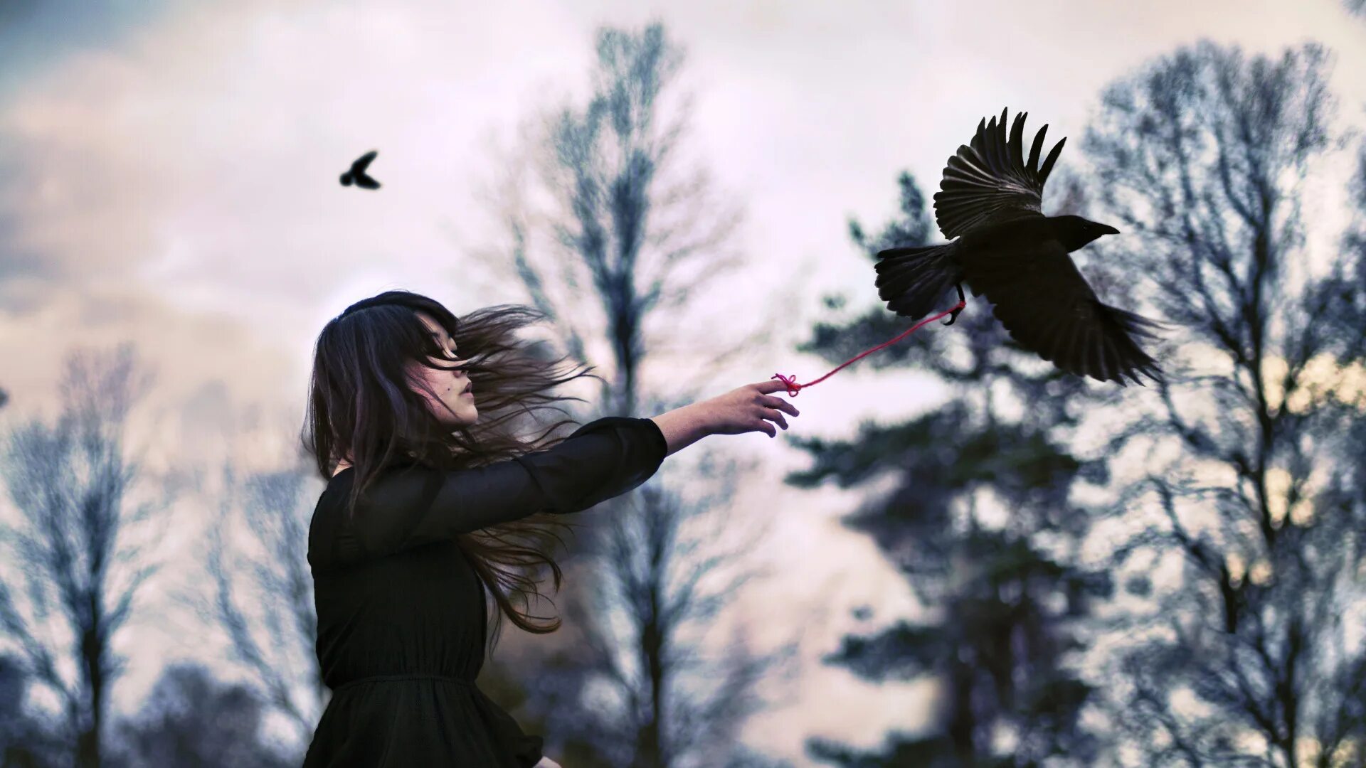 Девушка птица. Девушка отпускает птицу. Девушка выпускает птицу из рук. Отпустить птицу.