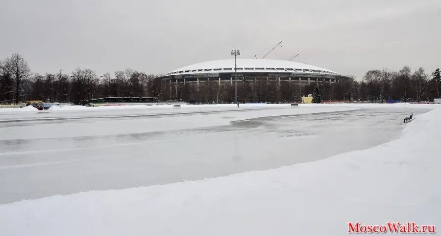 Каток в лужниках купить билеты. Каток Москва Лужники. Каток Южный полюс в Лужниках. Парк Лужники каток. Каток Кристалл СССР Лужники.