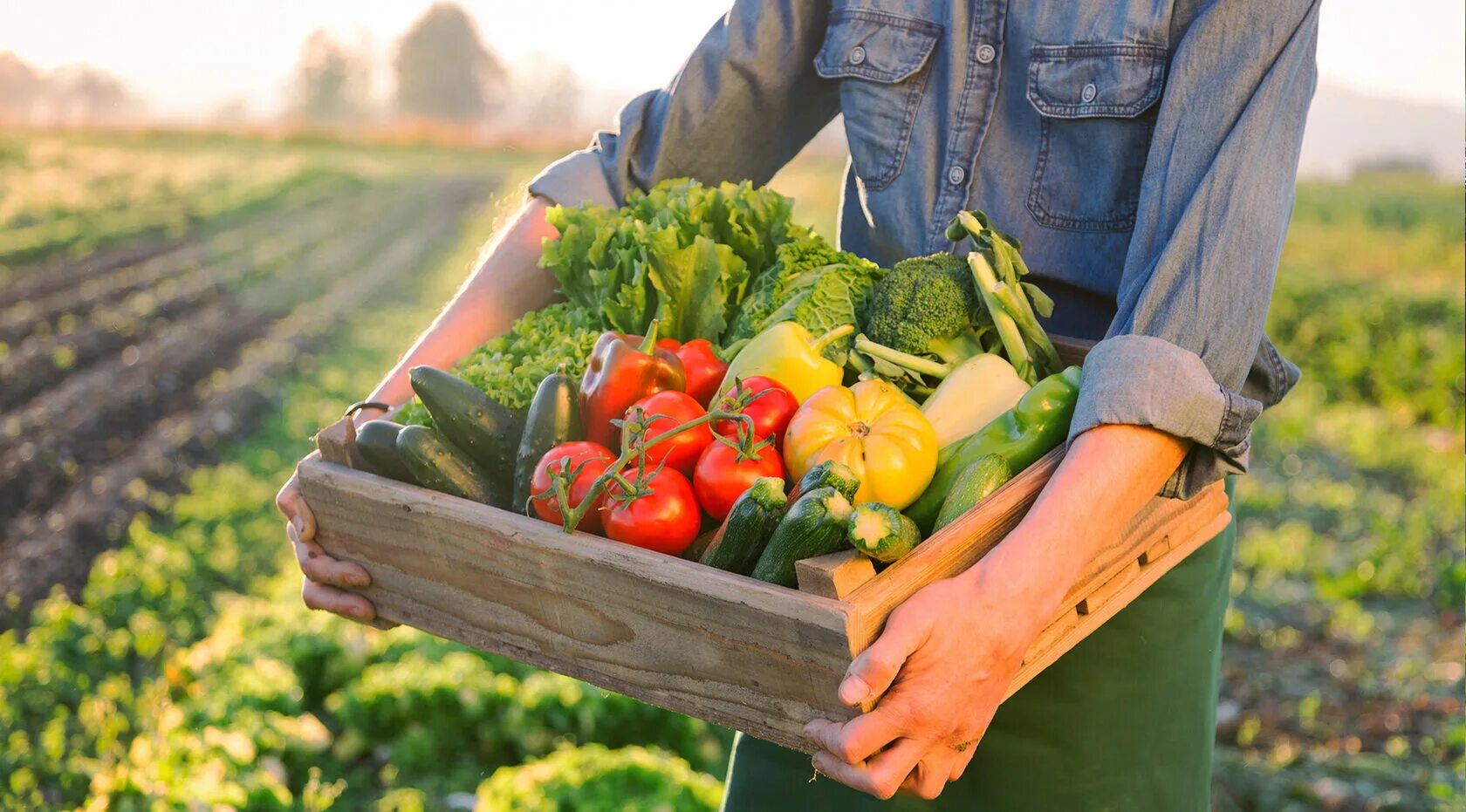 Farmer vegetables