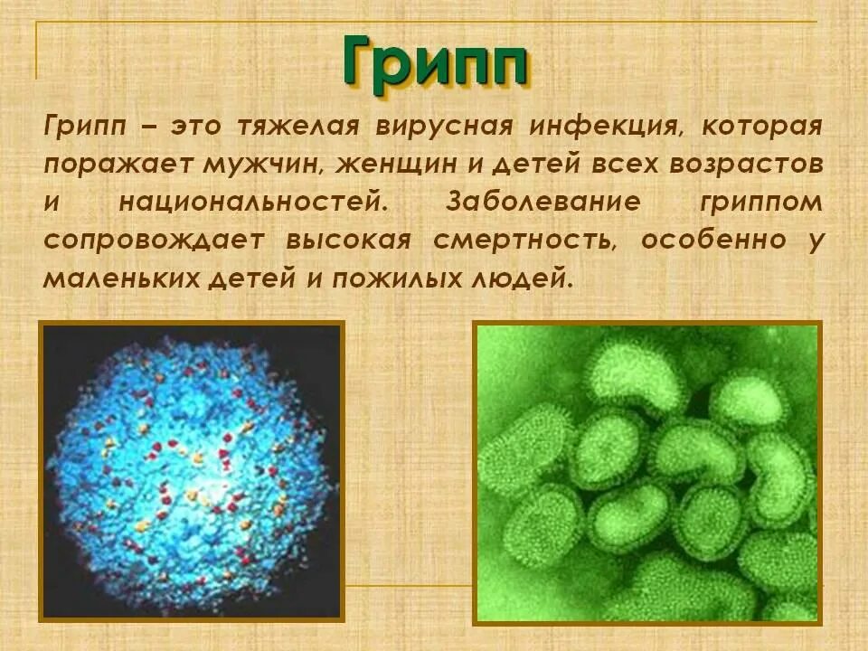 Грипп инфекционное заболевание. Грипп презентация. Грипп вирусная инфекция. Презентация вирусные заболевания грипп.