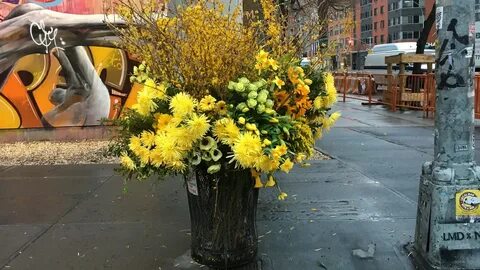 This flowers