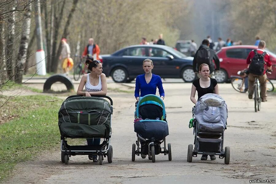 Прогулка сегодня