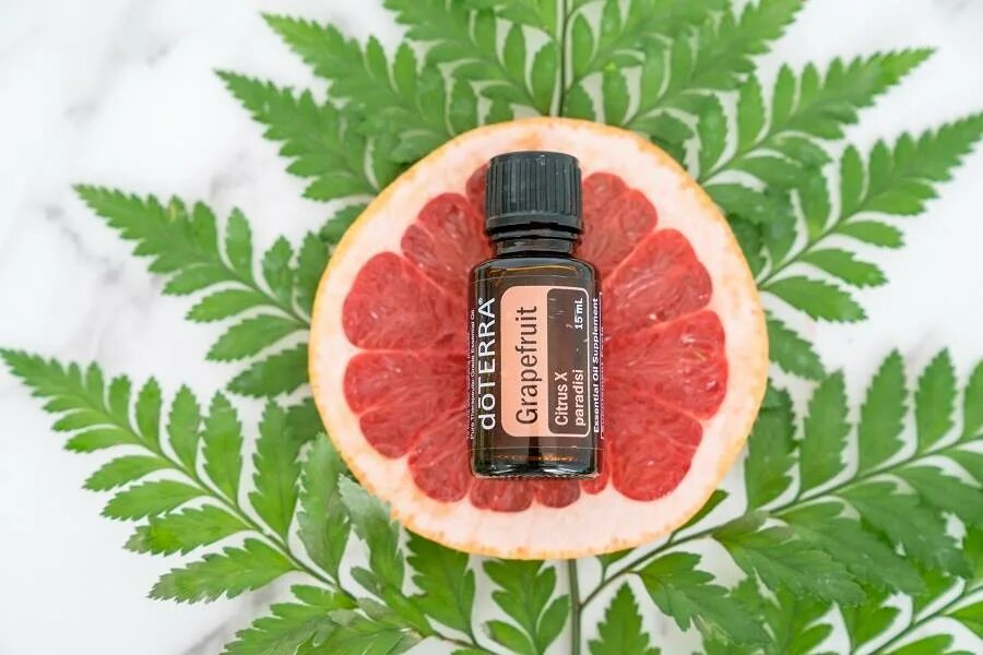 Белый грейпфрут дотерра. Дотерра grapefruit. масло грейпфрута дотерра. doterra масла грейпфрут. grapefruit doterra 15 ml.