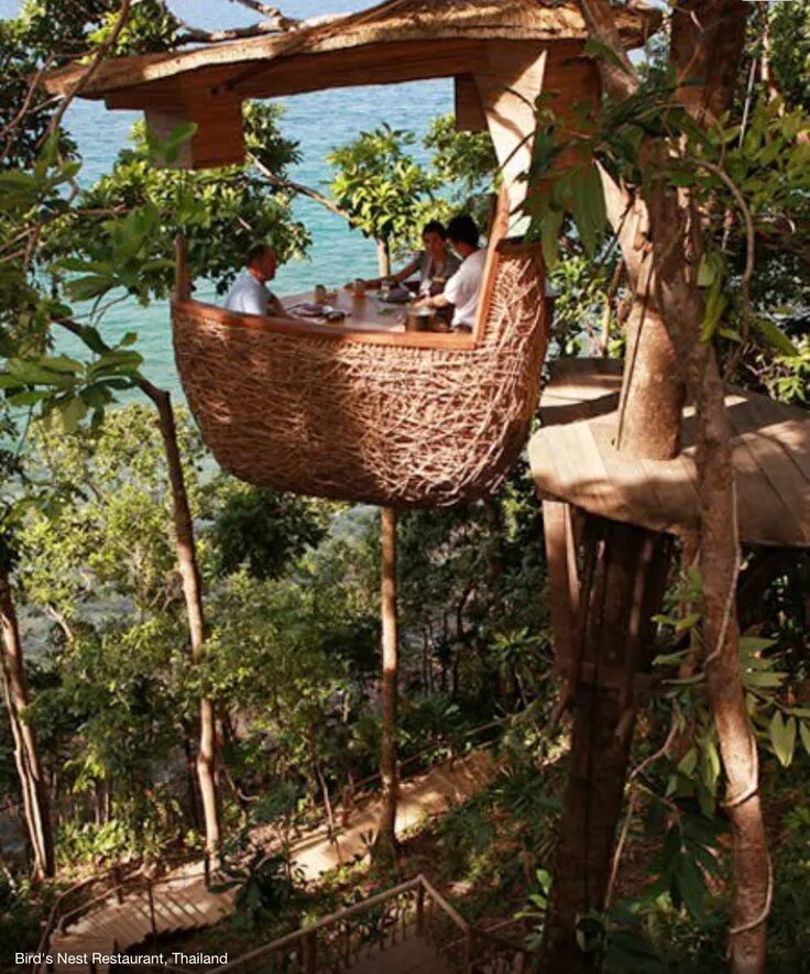 Rest nest