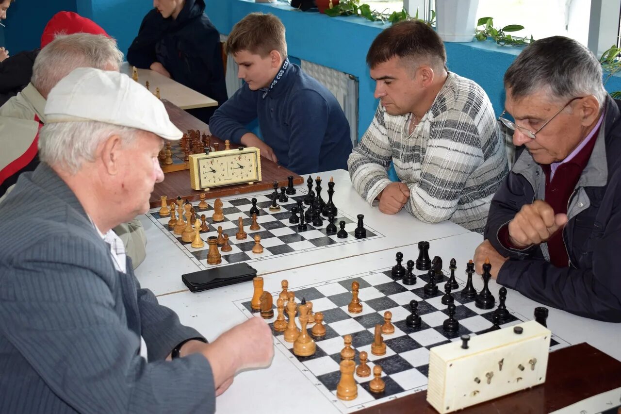 Гран при шахматы