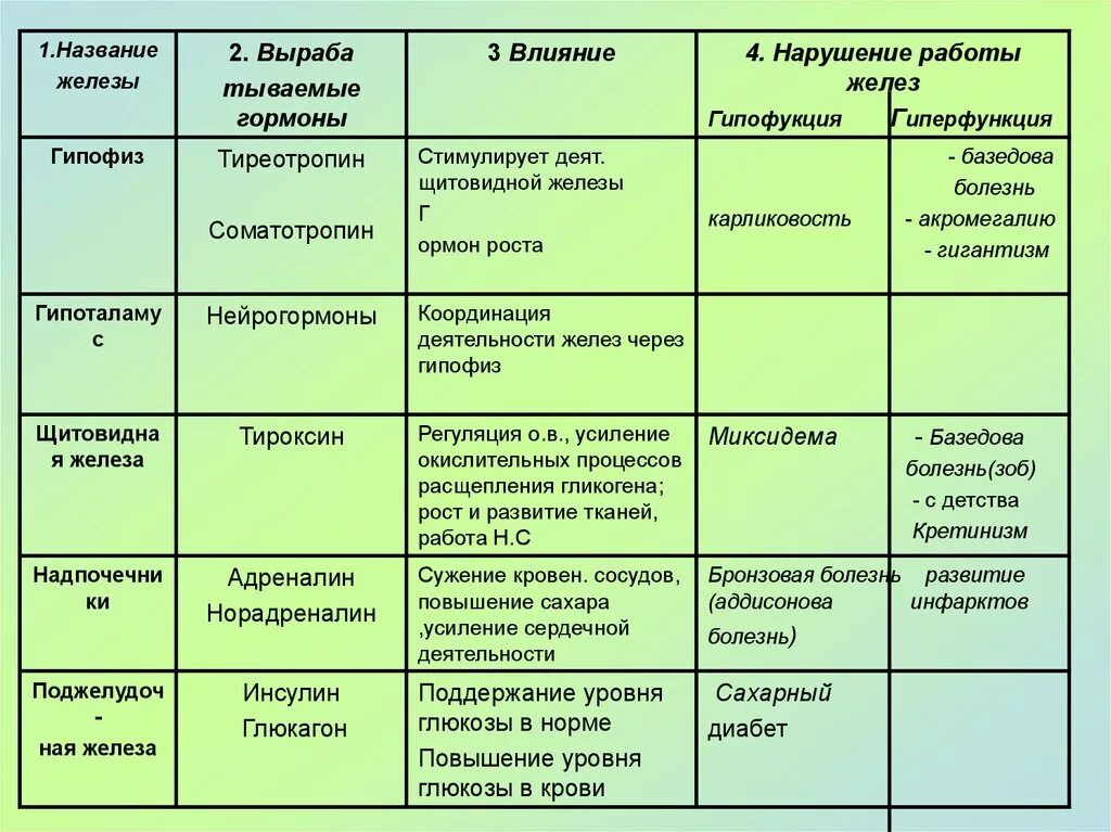 Влияние гормонов на развитие. Таблица жезовнутренней секреции. Таблица название желез гормоны функции. Функции желез внутренней секреции таблица гормоны. Название железы гормоны и действия гормонов.