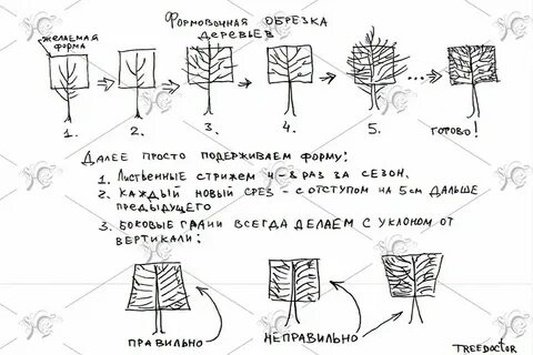 Придать форму тексту