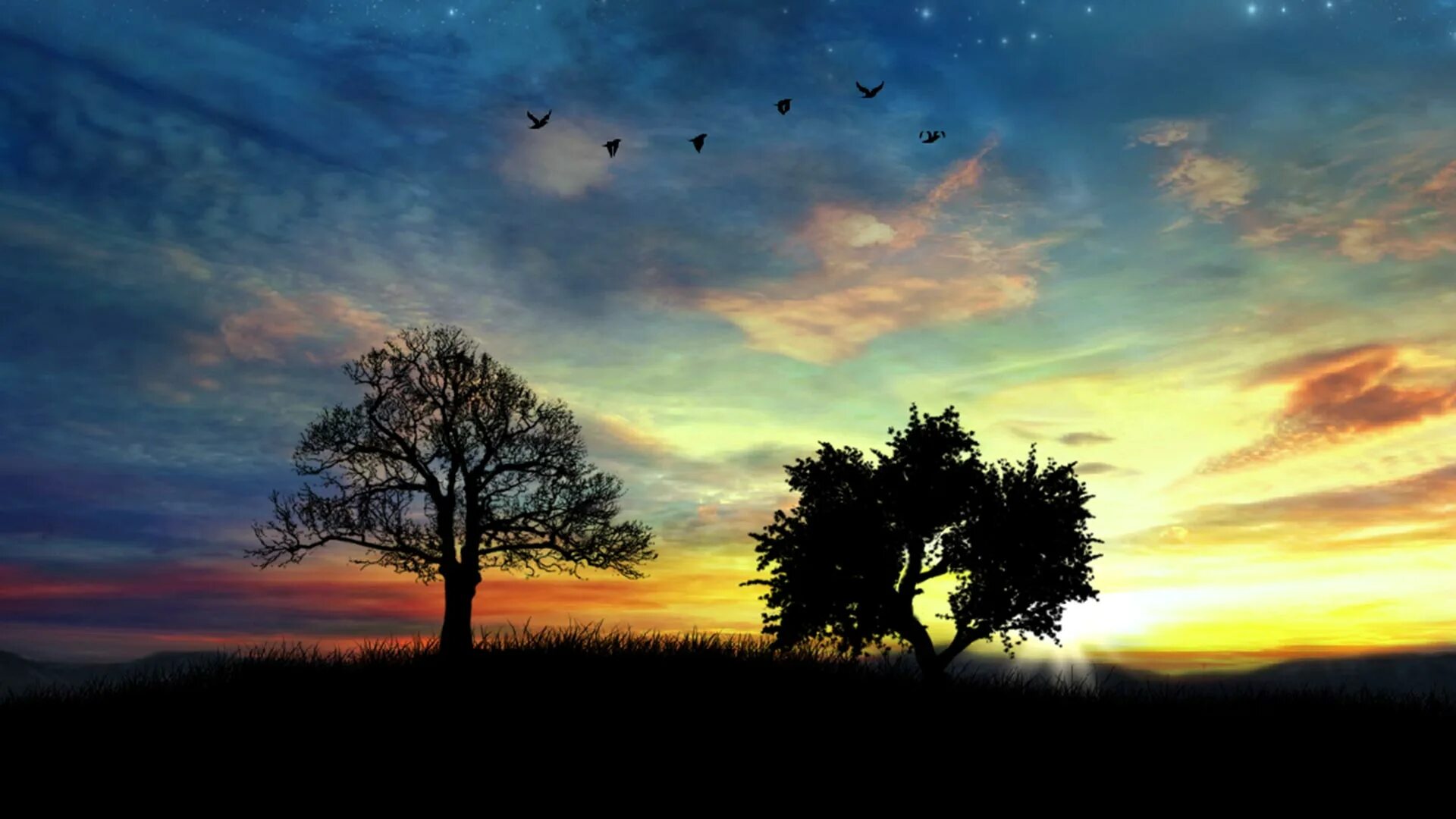 Пейзаж день и ночь. Противостояние дня и ночи. Утро ночь. Даже днем и ночью. Дерево день ночь рисунок.