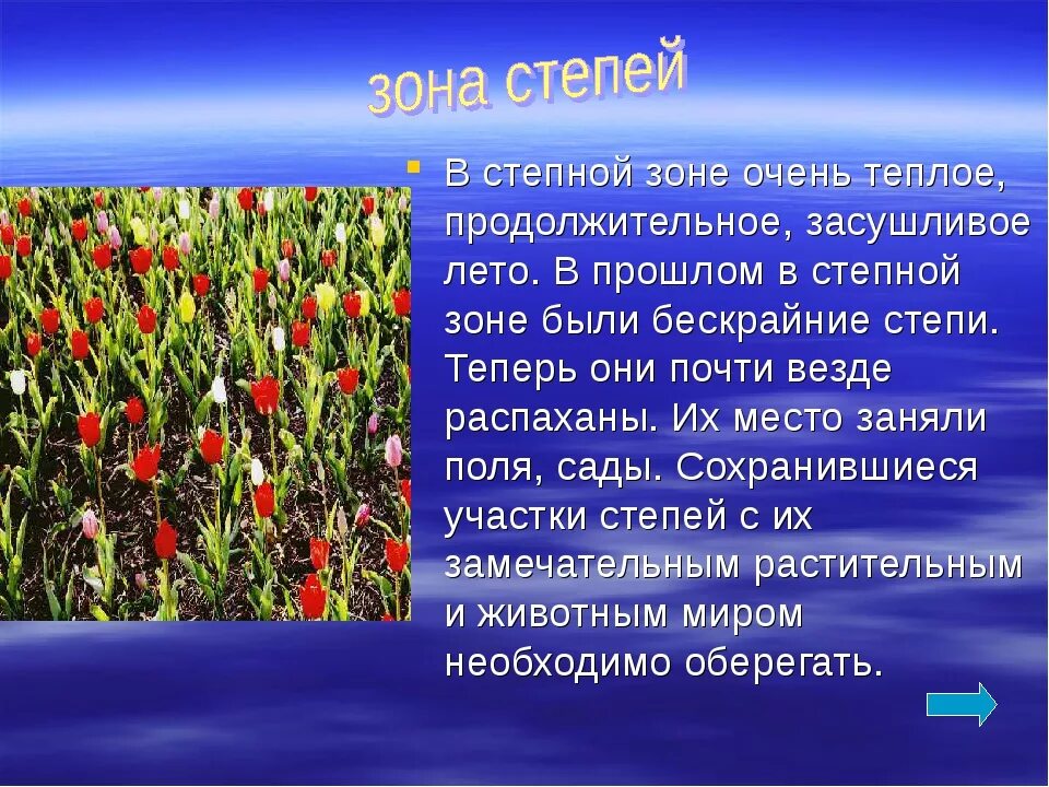 Зона степей 4 класс. Презентация на тему степь. Растения степи России. Растения зоны степей.