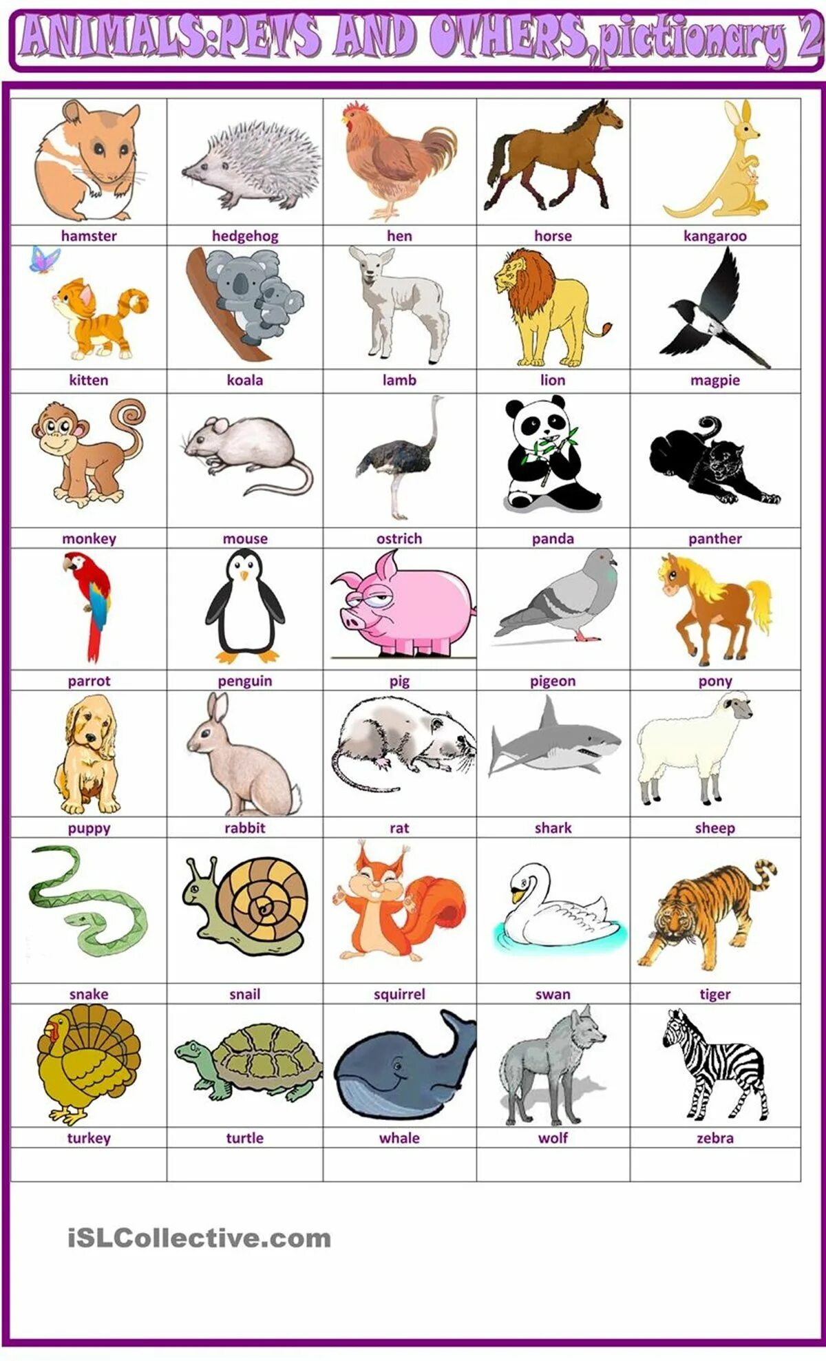 Английский animals Pets Worksheets. Pet animals Vocabulary. Тема Pets and other animals. Pets English Vocabulary. Pets vocabulary