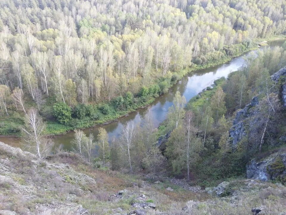 На машине на бердские скалы. На машине на бердские скалы. На машине на бердские скалы. Гора кивда салаирский кряж. Бердские скалы зимой фото.