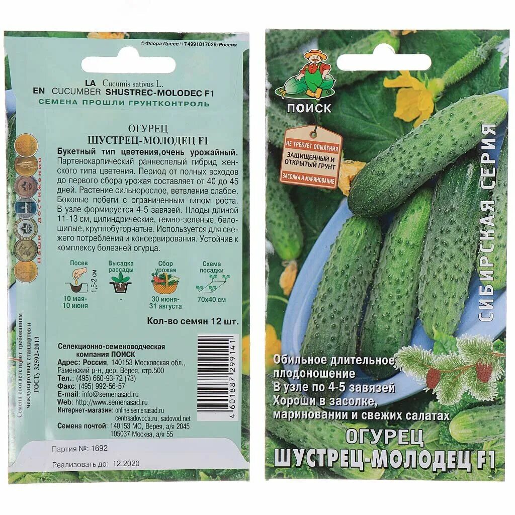 Огурец молодец f1 8шт. Молодец f1. Шустрец молодец f1. Молодец f1. Огурец капитошка f1.