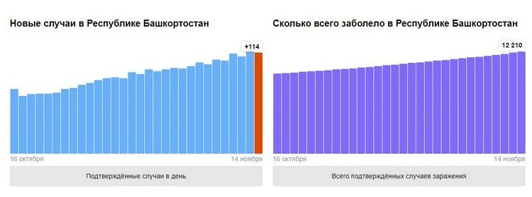 7 октября сколько лет