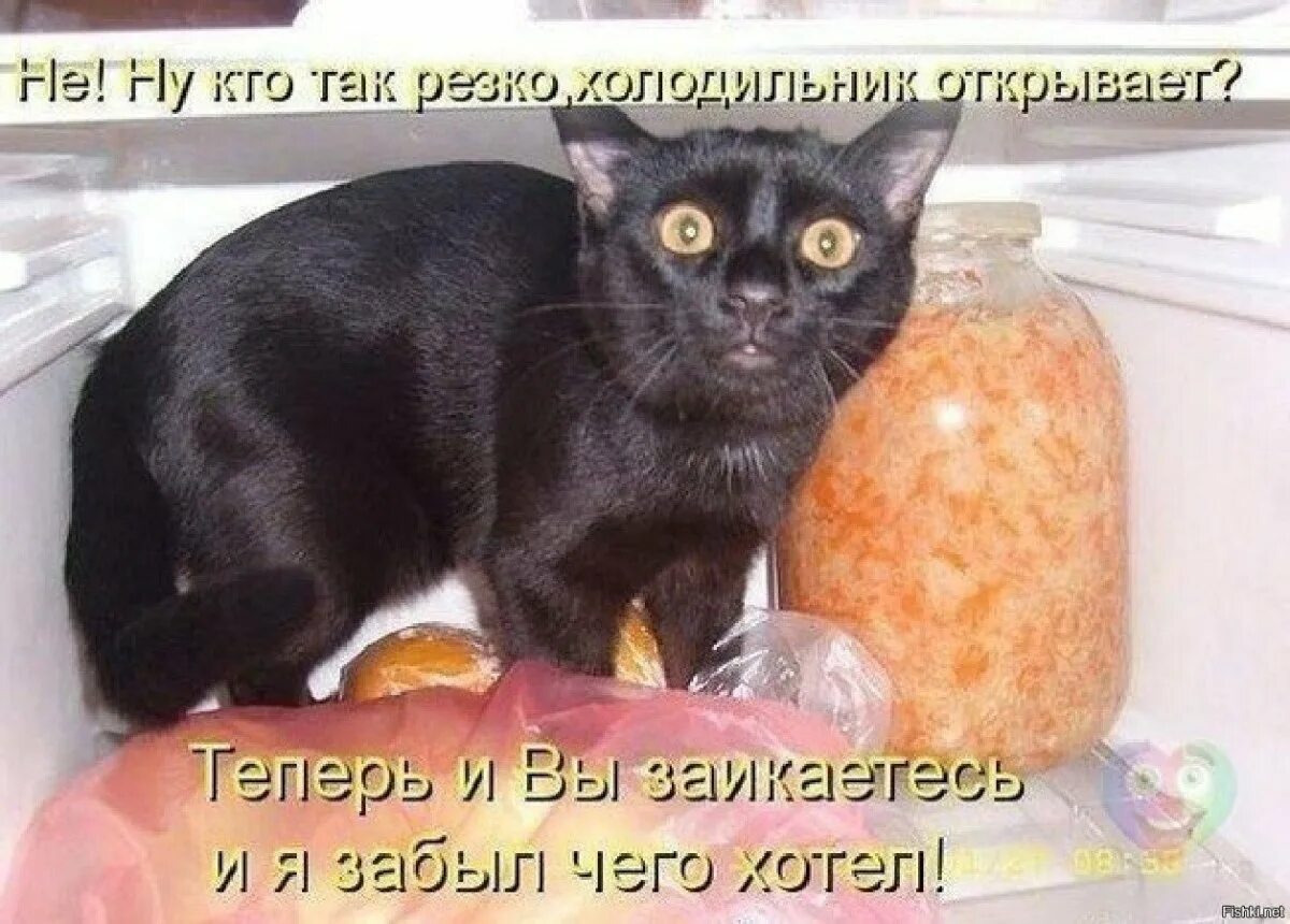 Все на субботник. Плакат "ты запиался добрвльцем?. А ты придешь на собрание. А что сделал ты плакат. Плакат а ты поставил.