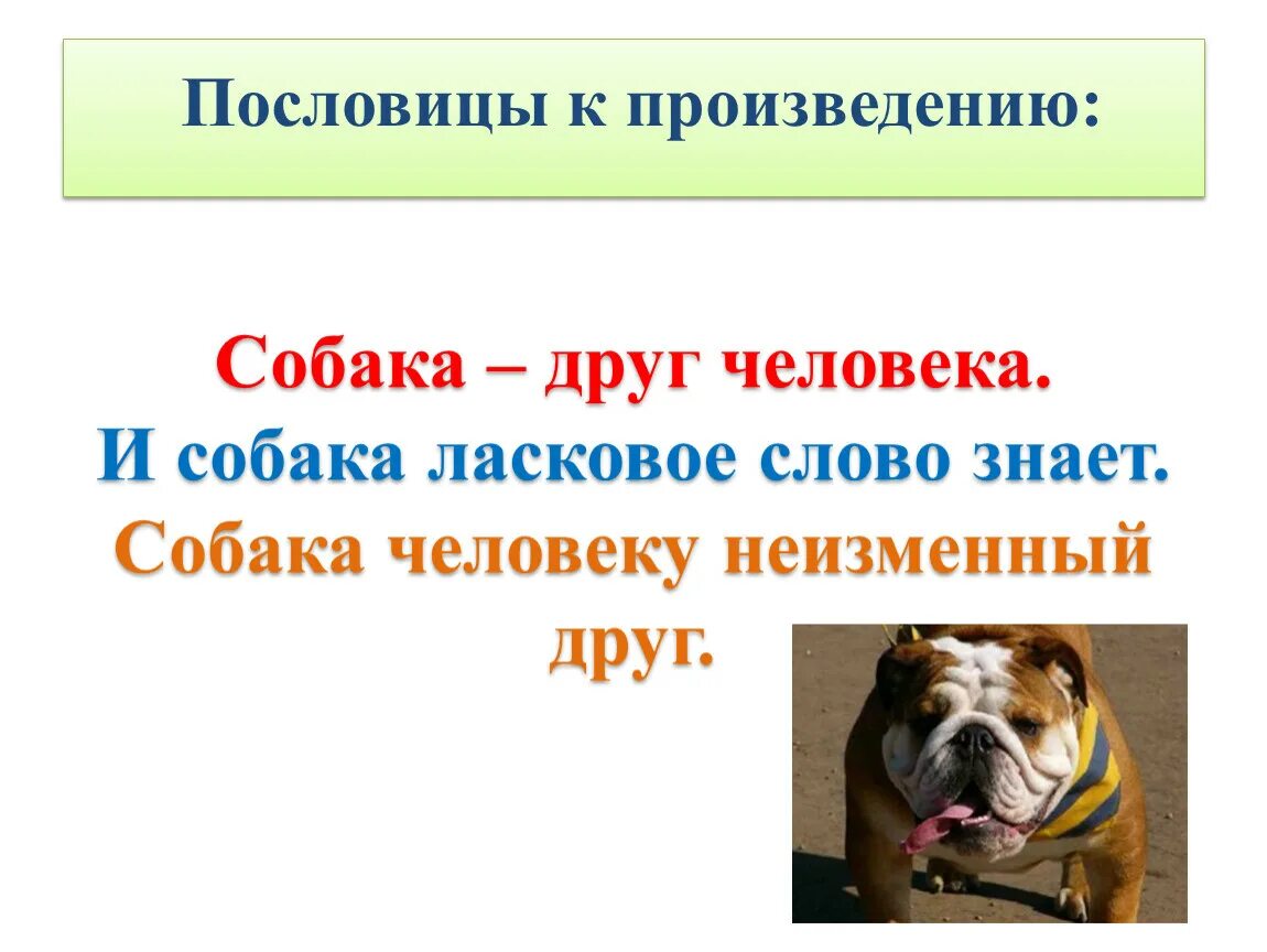 Значение пословицы собака друг человека. Пословицы и поговорки про собак. Пословицы про собак. Поговорки про собак. Собака друг человека поговорка.