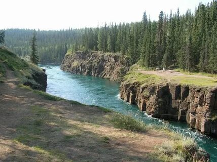 Река юкон в северной америке