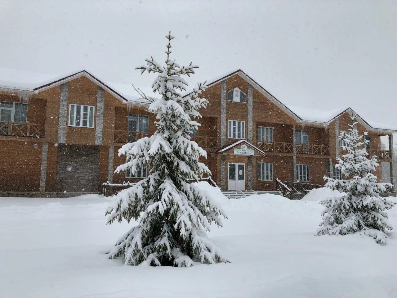 Берёзовая роща база отдыха тульская область егнышевка. База отдыха лесная паратунка камчатка. Лесная поляна отдых. Лесная поляна отдых. База лесная паратунка камчатка.