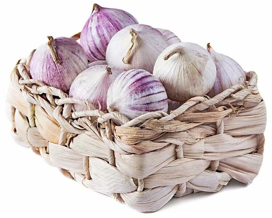 Чеснок купить кг. Чеснок solo garlic. Чеснок в упаковке. Чеснок сорта Соло. Чеснок Соло упаковка.