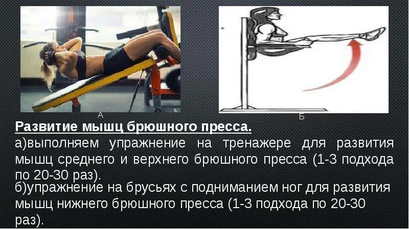 Непременным условием роста и развития мышц. Упражнения для развития мышц брюшного пресса. развитие мышц. упражнения для развития силы мышц брюшного пресса. комплекс для развития мышц брюшного пресса и спины.